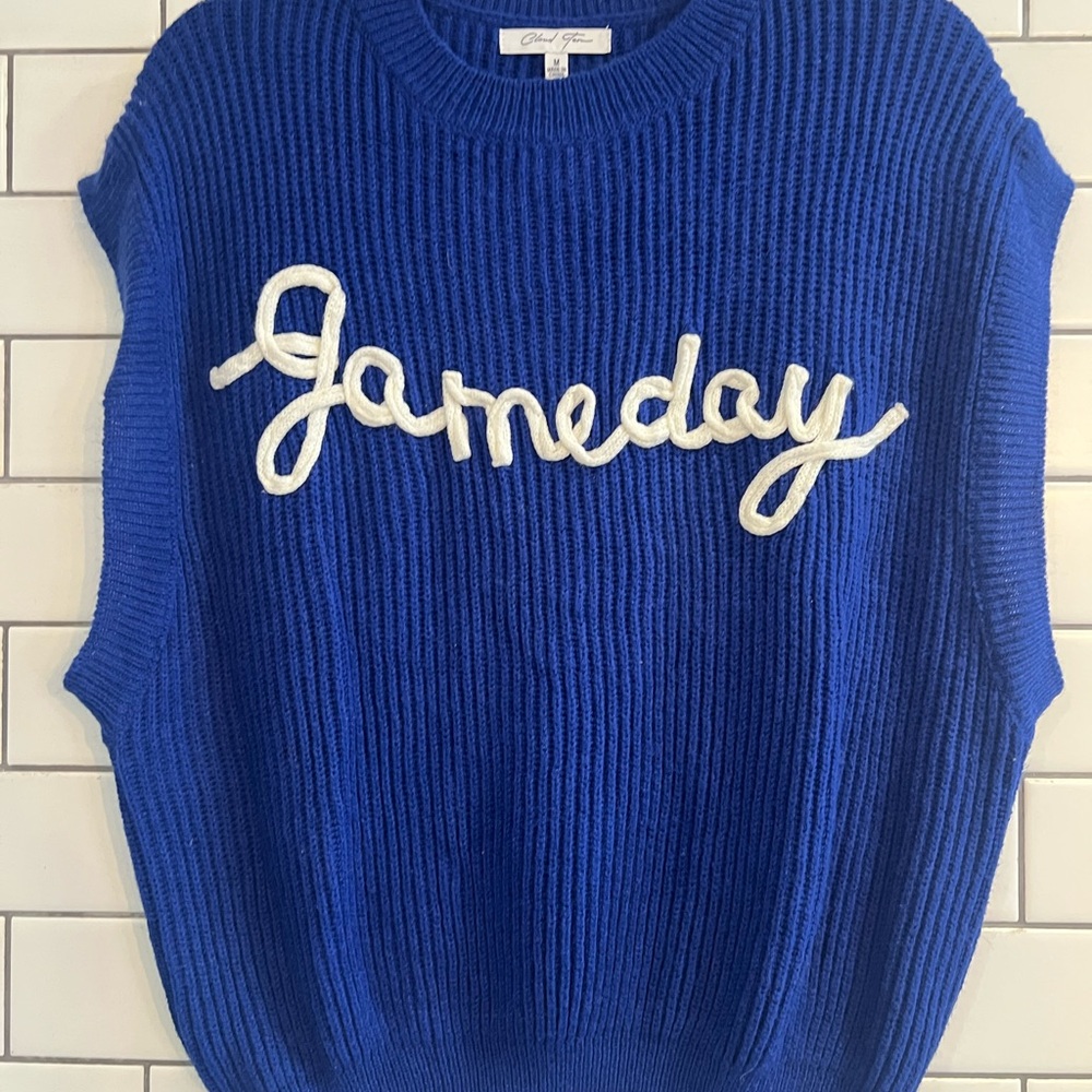 Ameda Royal Blue Crew Neck Sweater